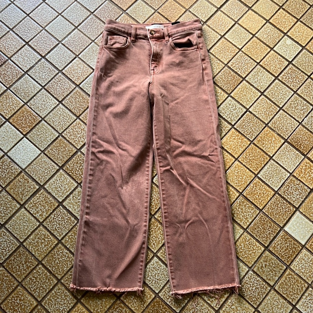 Eunina Size 25 Rust Denim pants Size 1/25W